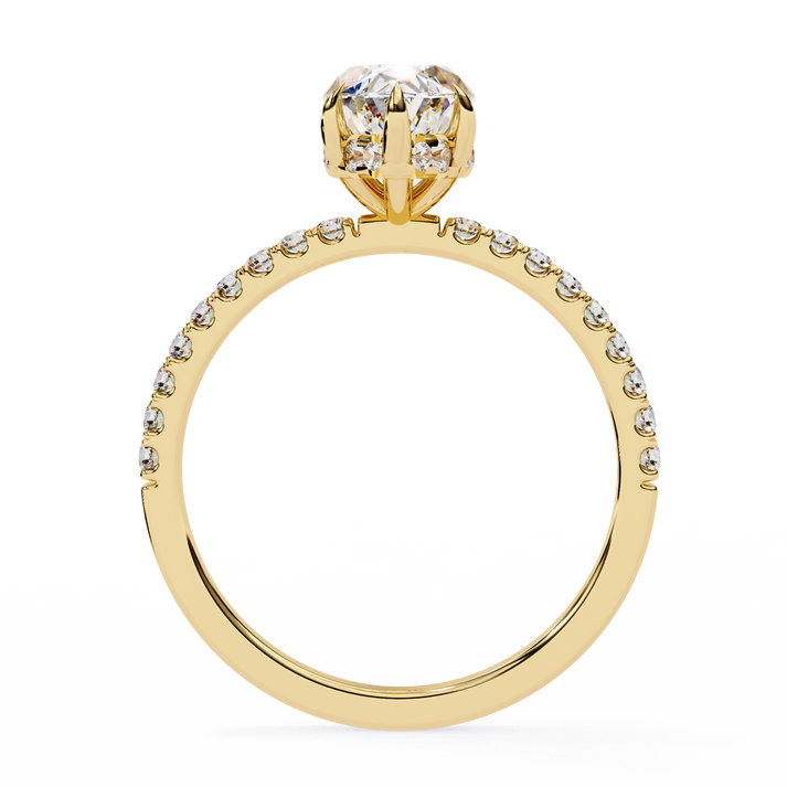 lab grown diamond | moissanite Jewellery Prong Ton Halo Lab Grown Diamond OR Moissanite Ring by Rabbito Jewels