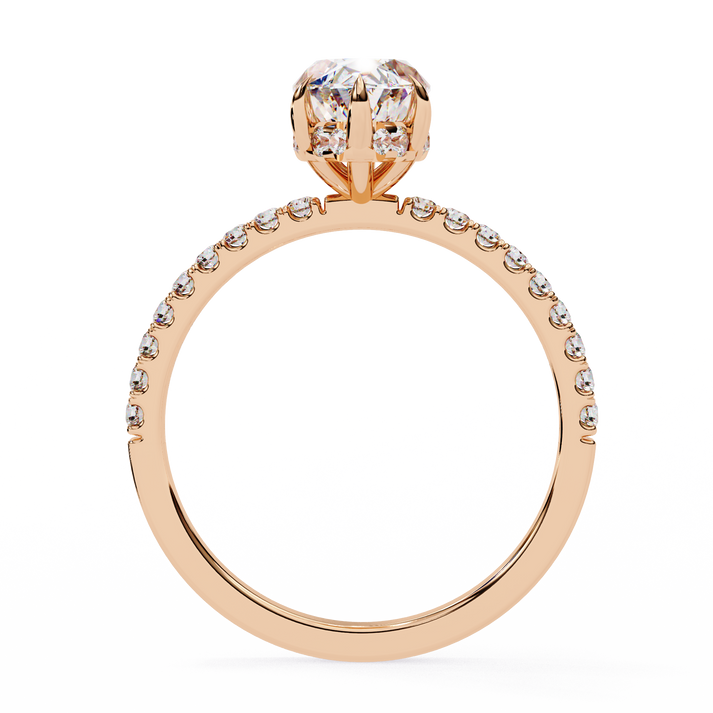 lab grown diamond | moissanite Jewellery Prong Ton Halo Lab Grown Diamond OR Moissanite Ring by Rabbito Jewels