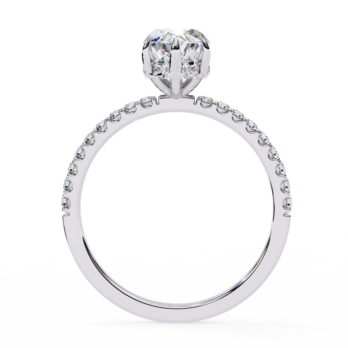 lab grown diamond | moissanite Jewellery Prong Ton Halo Lab Grown Diamond OR Moissanite Ring by Rabbito Jewels